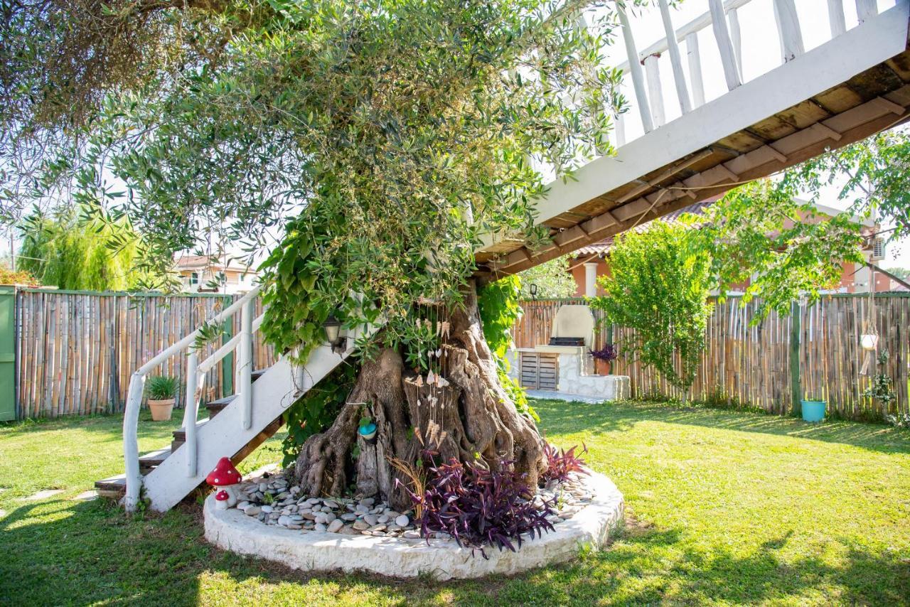 Villa Elmar Tree House Roda (Corfu)